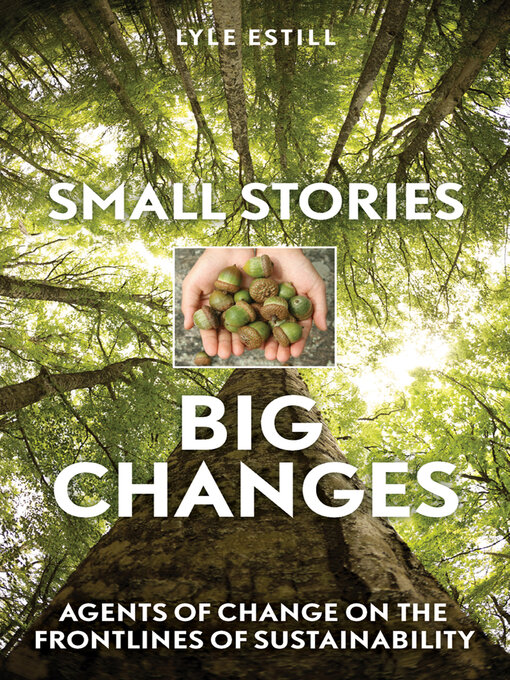 Title details for Small Stories, Big Changes by Lyle Estill - Available